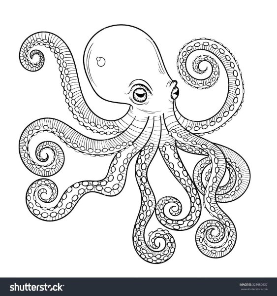 Кракен головоногий