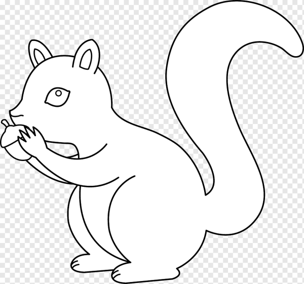 Раскраска Белочка