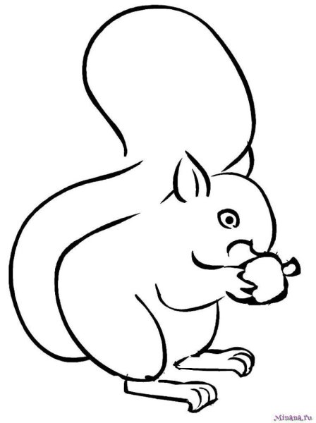 Белка для раскрашивания детям