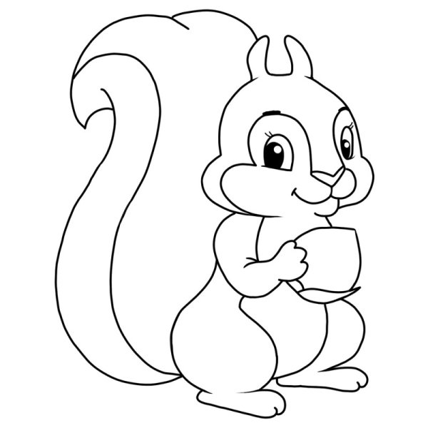 Белка раскраска для детей
