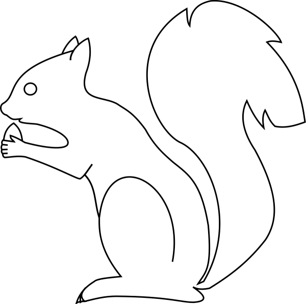 Белка раскраска для детей