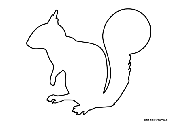 Белка раскраска для малышей