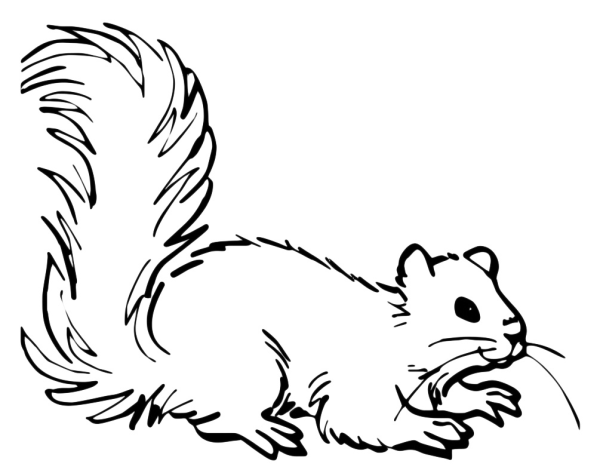 Белочка силуэт