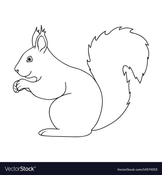 Раскраска Белочка