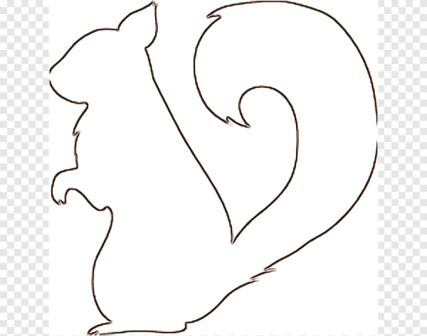 Белка раскраска для детей