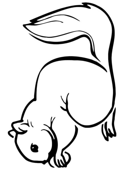 Белка с бельчатами раскраска для детей