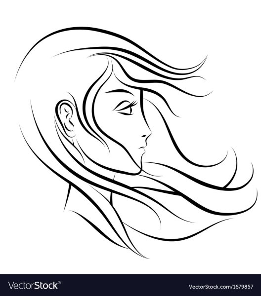 Контурные рисунки