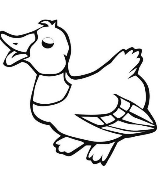 Утки символ