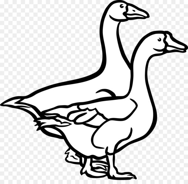 Утка раскраска для детей