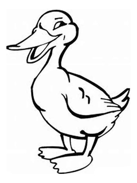 Аппликация утка