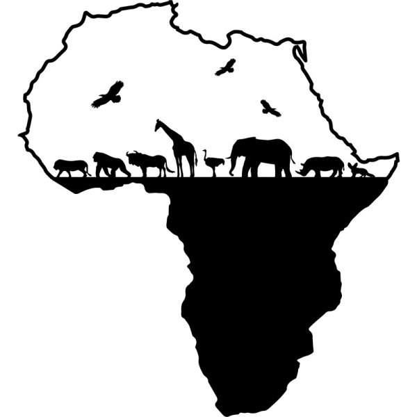 Графика африканские животные