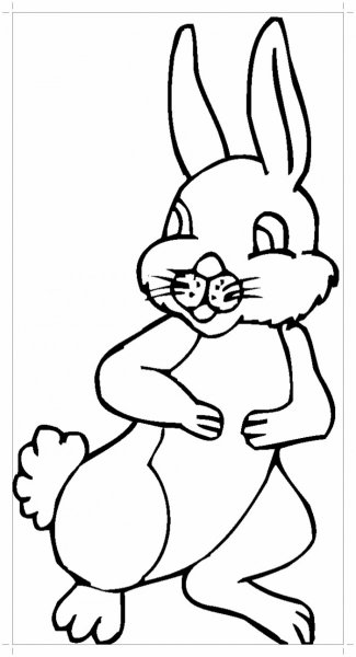 Заяц раскраска