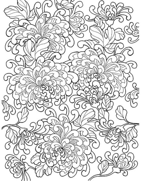 Павлин. Раскраска