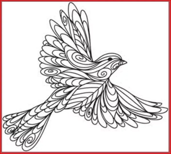 Жар птица раскраска