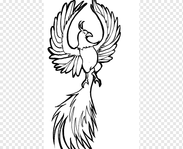 Жар птица конек горбунок раскраска