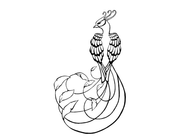 Трафарет павлина