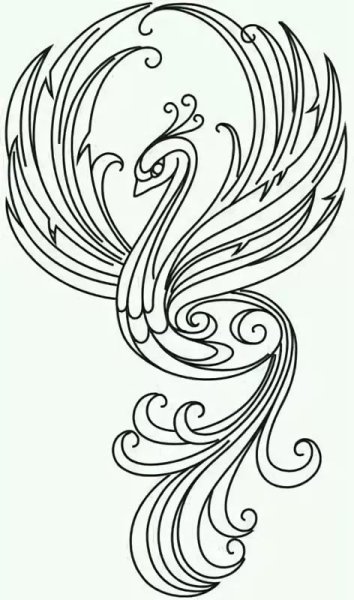 Жар птица раскраска