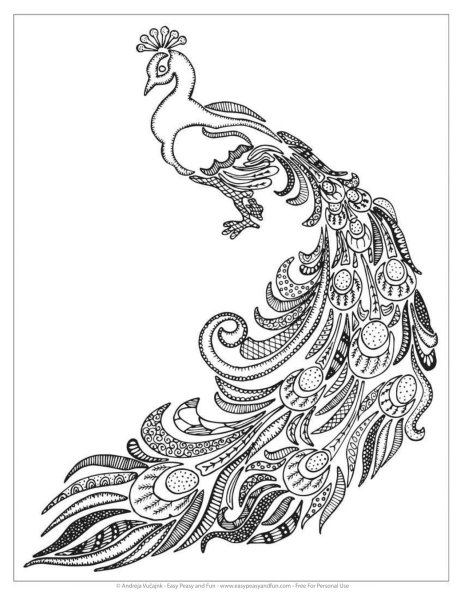 Жар птица раскраска