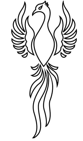 Рисунок жарптицы карандашом