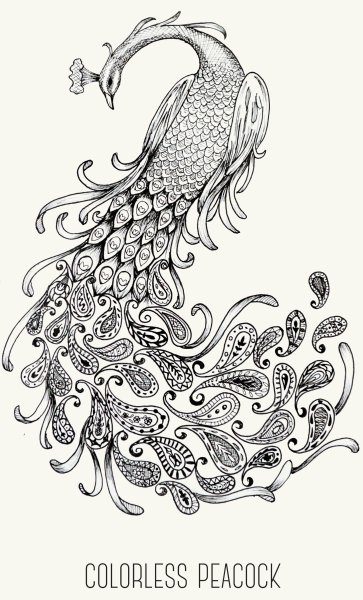 Жар птица антистресс