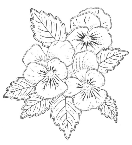 Раскраска антистресс узоры