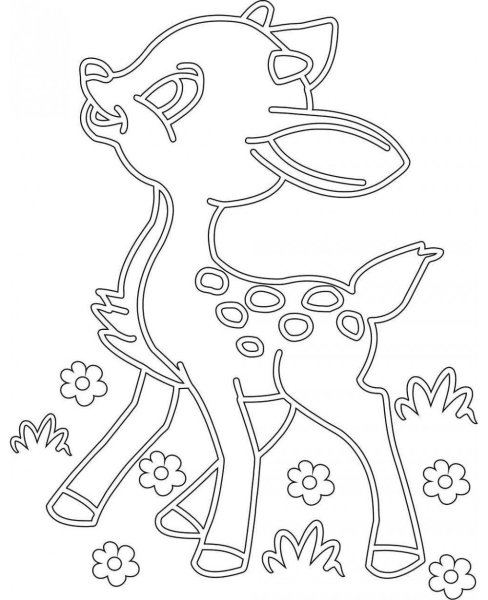 Раскраска Совушки для детей