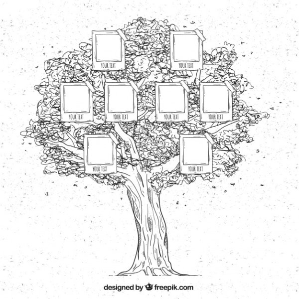 Генеалогическое дерево для раскрашивания