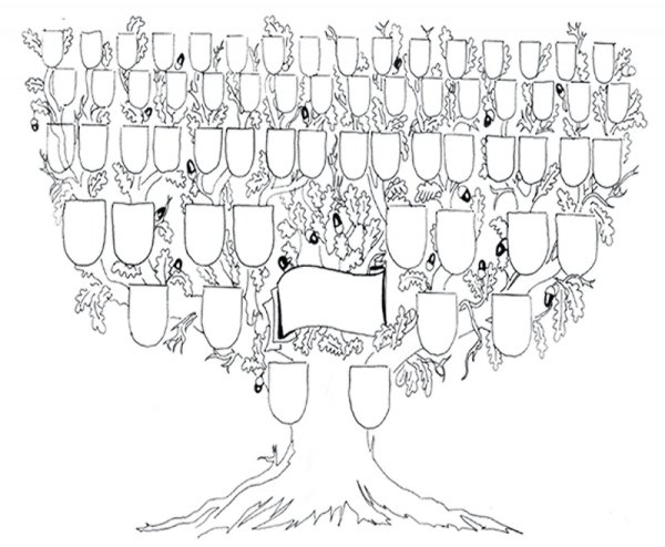 Рисование родословного дерева