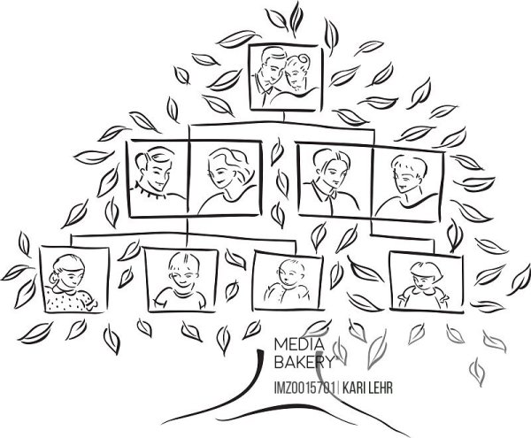 Дерево семьи