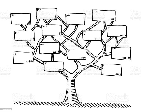 Ветви семейного дерева