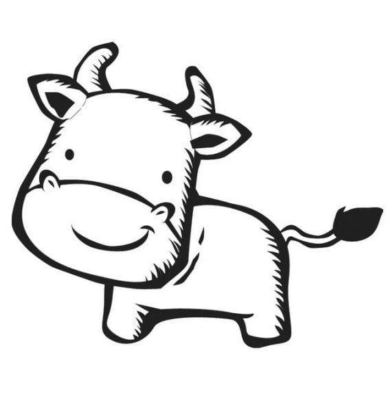 Бычок контур