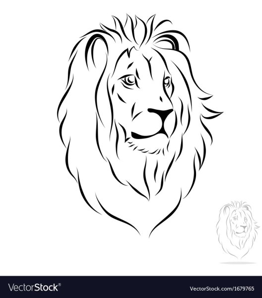 Голова Льва контур