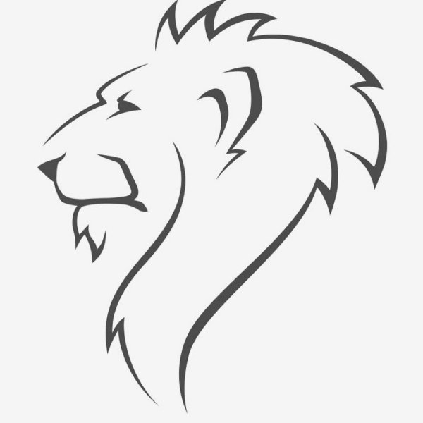 Очертания головы Льва