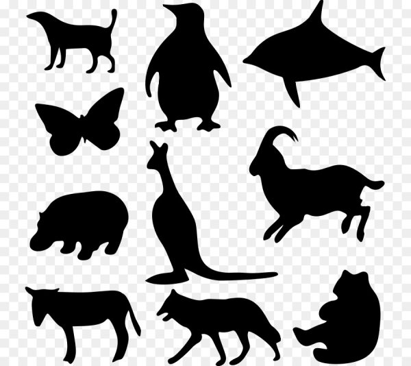 Очертания животных