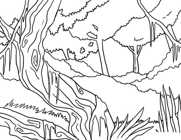 Горы раскраска для детей