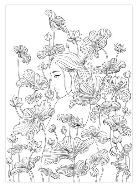 Контурная иллюстрация