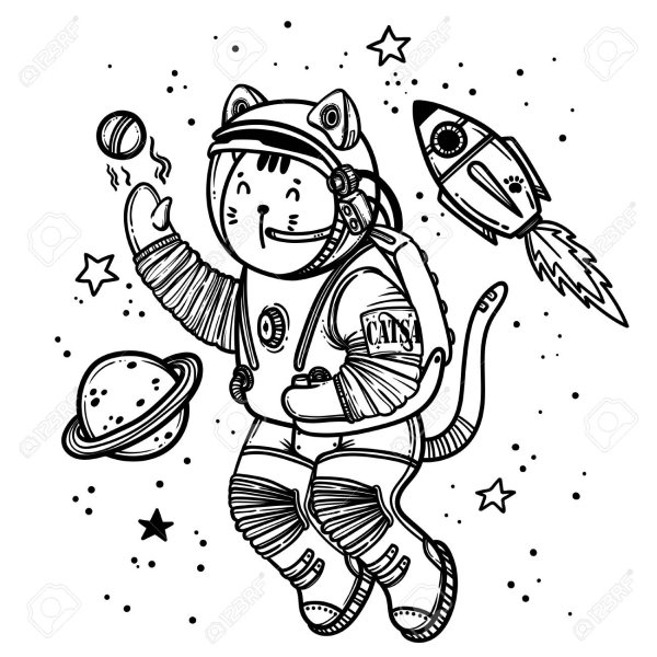 Кот космонавт