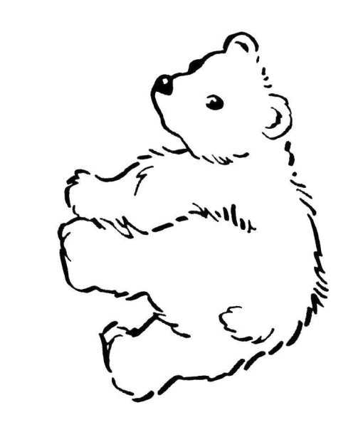 Медвежонок раскраска для малышей простая