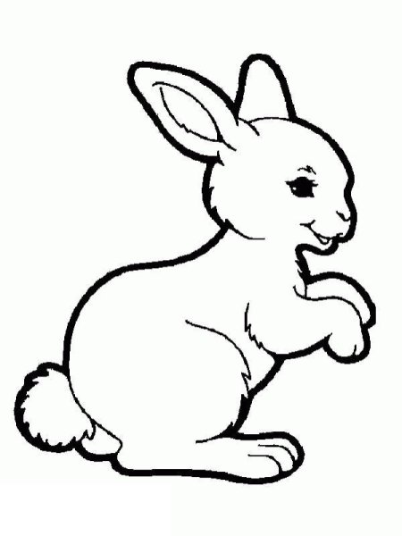 Заяц раскраска