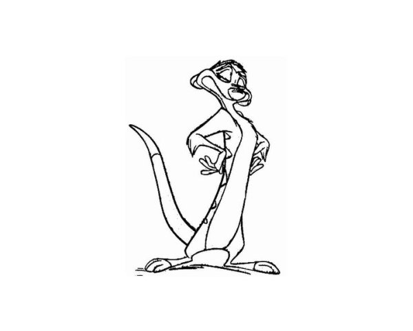 Сурикат Тимон раскраска