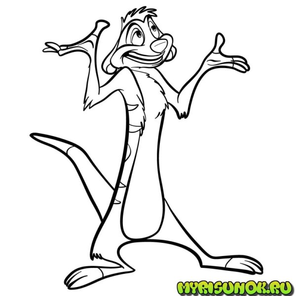 Сурикат Тимон картинка черно белая