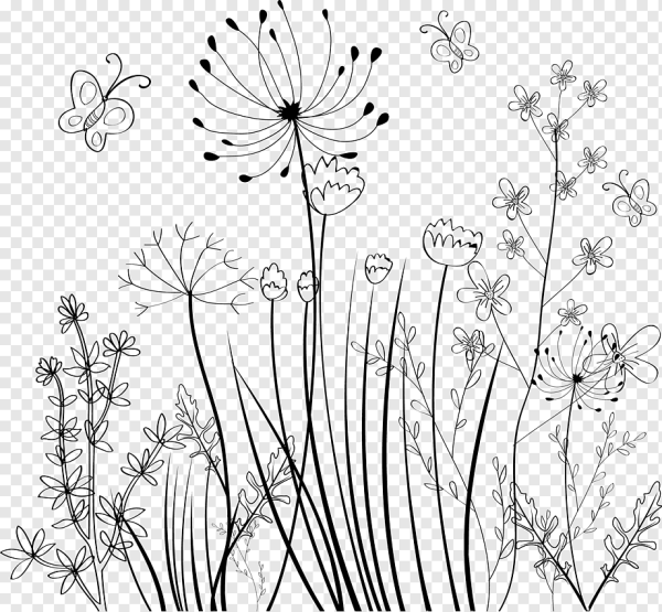 Растения контур