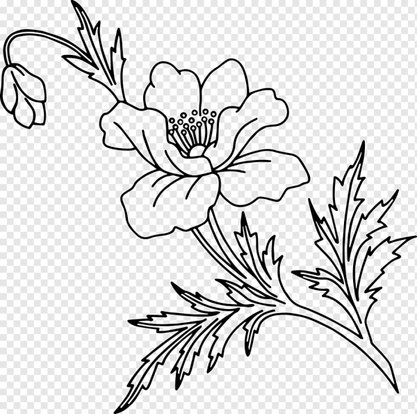 Цветы. Раскраска