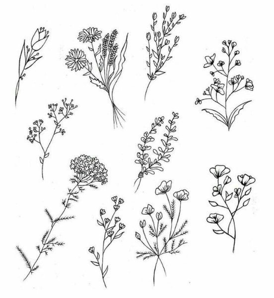 Раскраски для скетчинга