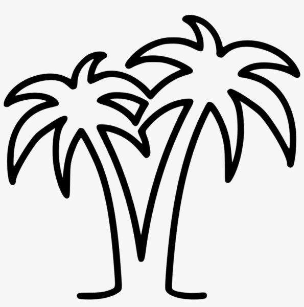 Пальма раскраска для детей