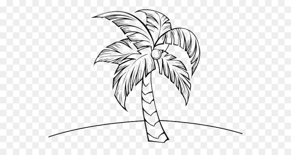 Пальма раскраска для детей