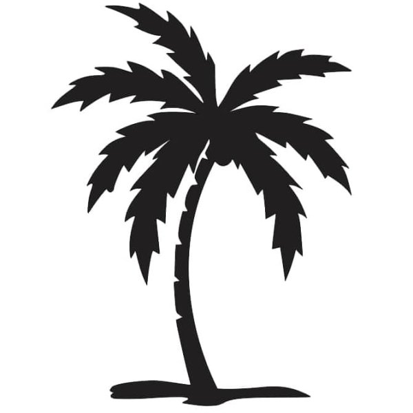 Пальма раскраска для детей