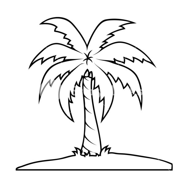 Пальма контур