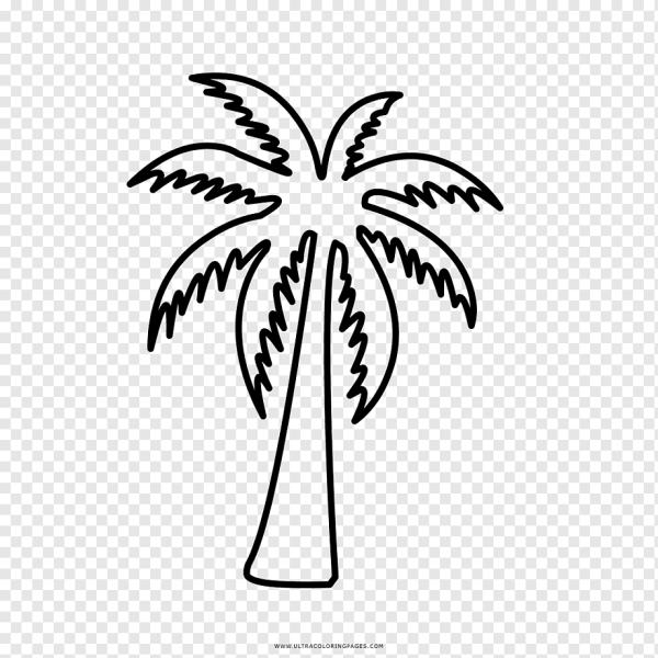 Пальма раскраска