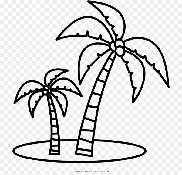 Пальма раскраска